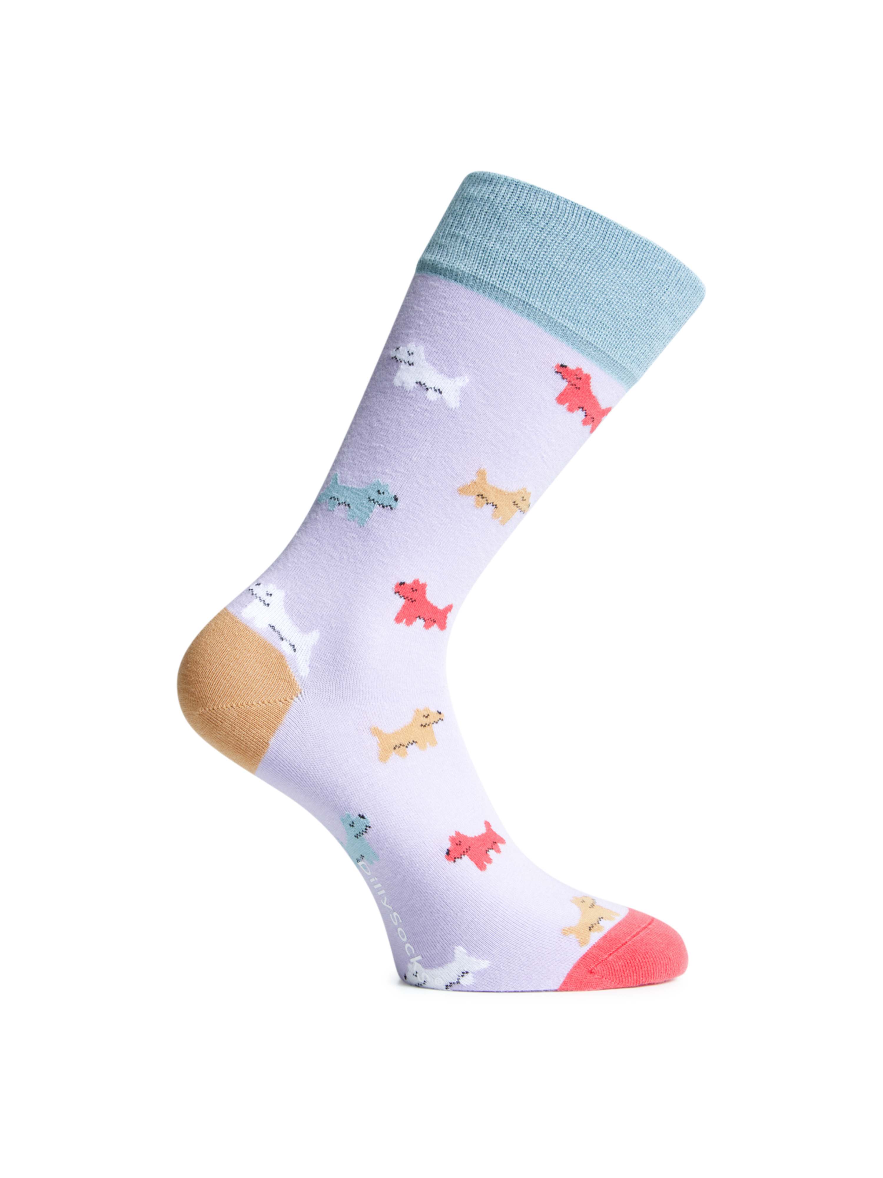 Dilly Socks, Socken